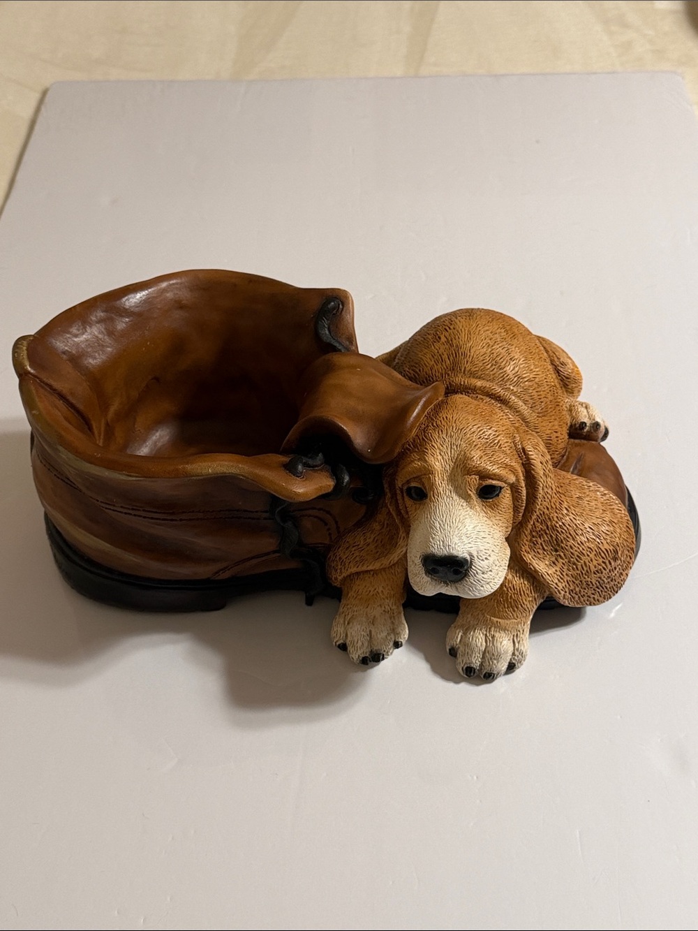 C. Boldrini Vintage Basset Hound Puppy with Sad Face Resting Near the Boot Italy